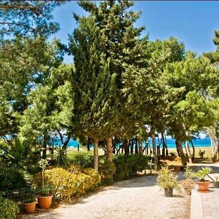 Appartamento I Tramonti Di Cofano Кастеллуццо Экстерьер фото