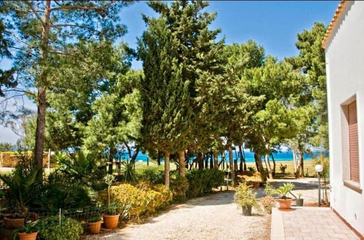 Appartamento I Tramonti Di Cofano Кастеллуццо Экстерьер фото