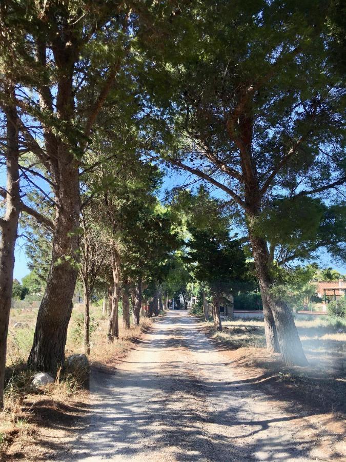 Appartamento I Tramonti Di Cofano Кастеллуццо Экстерьер фото