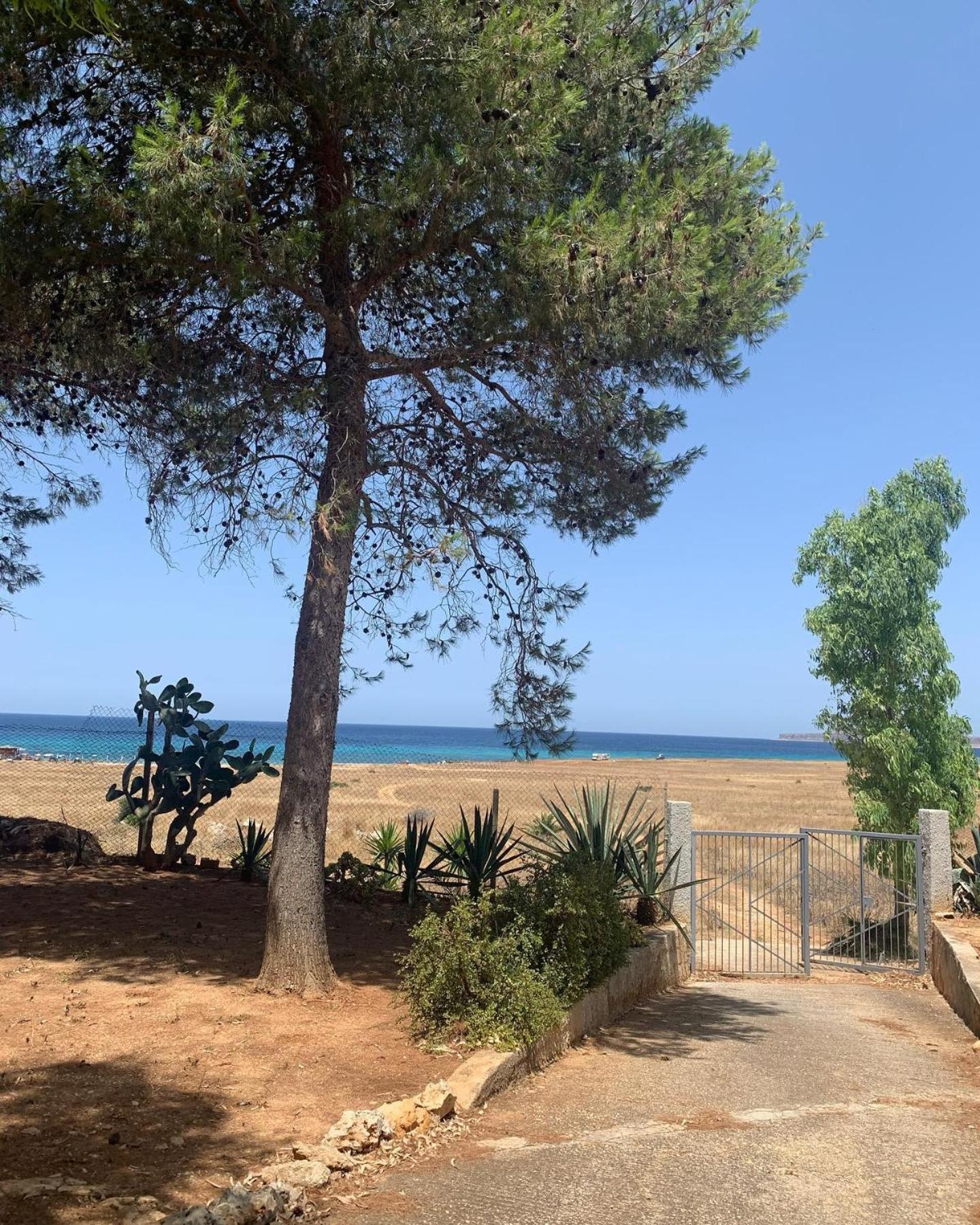 Appartamento I Tramonti Di Cofano Кастеллуццо Экстерьер фото
